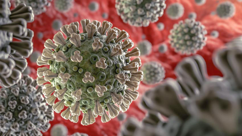Coronavirus - Covid-19, ce qu'il faut faire et ne pas faire ! Coronavirus - Covid-19, ce qu'il faut faire et ne pas faire !