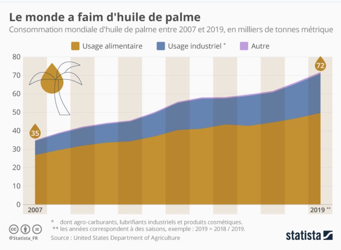 Huile de palme et déforestation, cela continue ! Huile de palme et déforestation, cela continue !